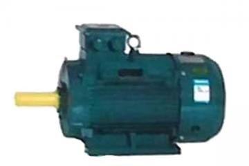 巨野電動機(jī)維修